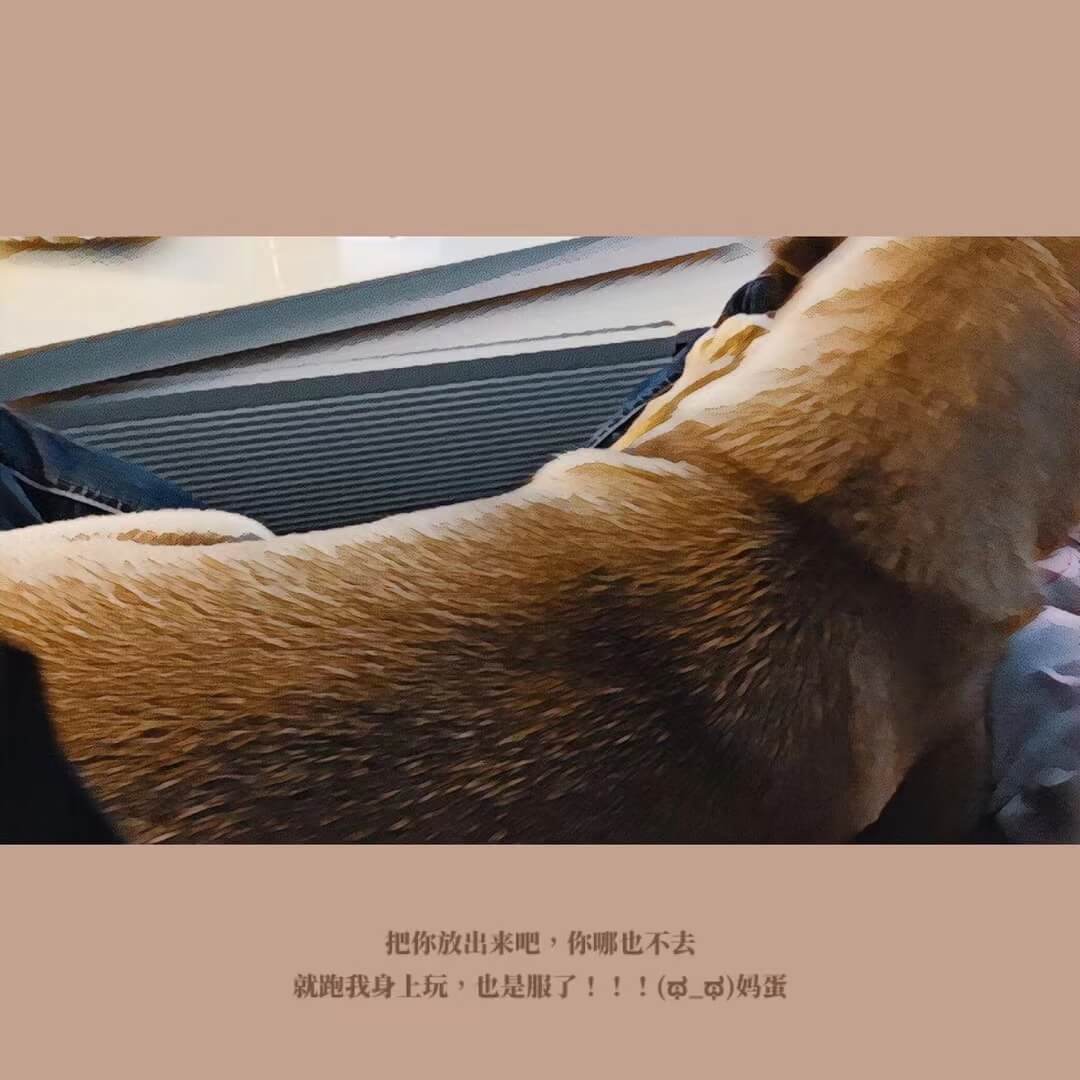 202012261744.jpg